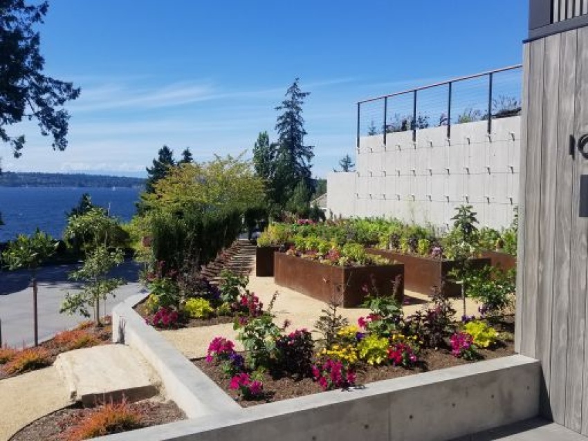 Landscape Design